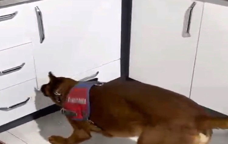 Jandarmadan uyuşturucu operasyonu: 2 tutuklama
