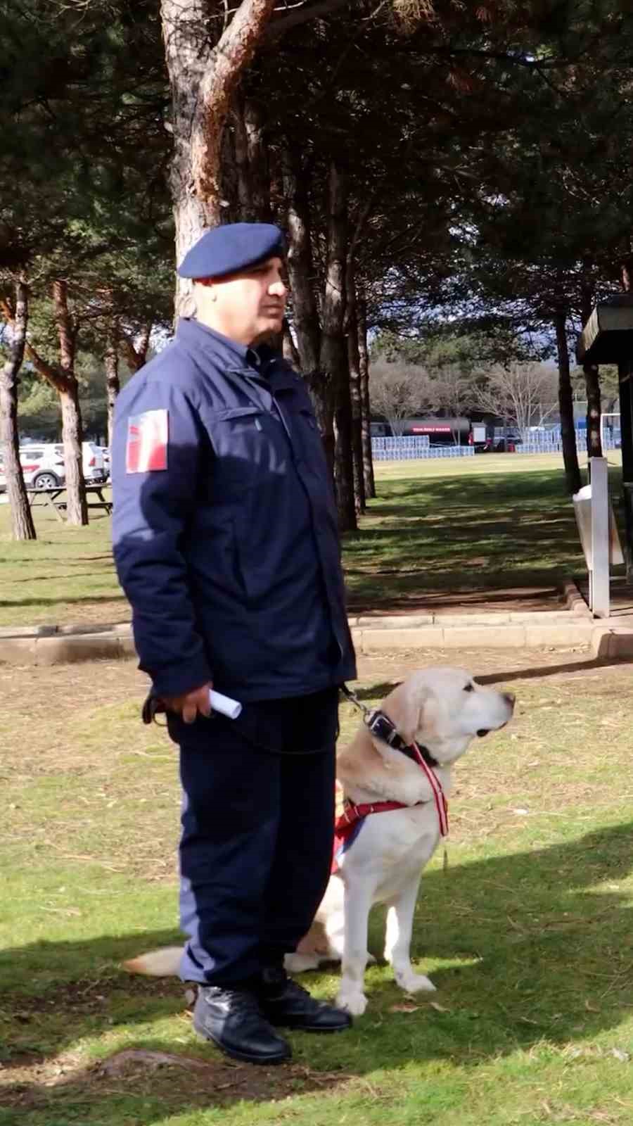 Jandarmanın hassas burnu "Medyum" 10 yıllık mesaisini tamamladı

