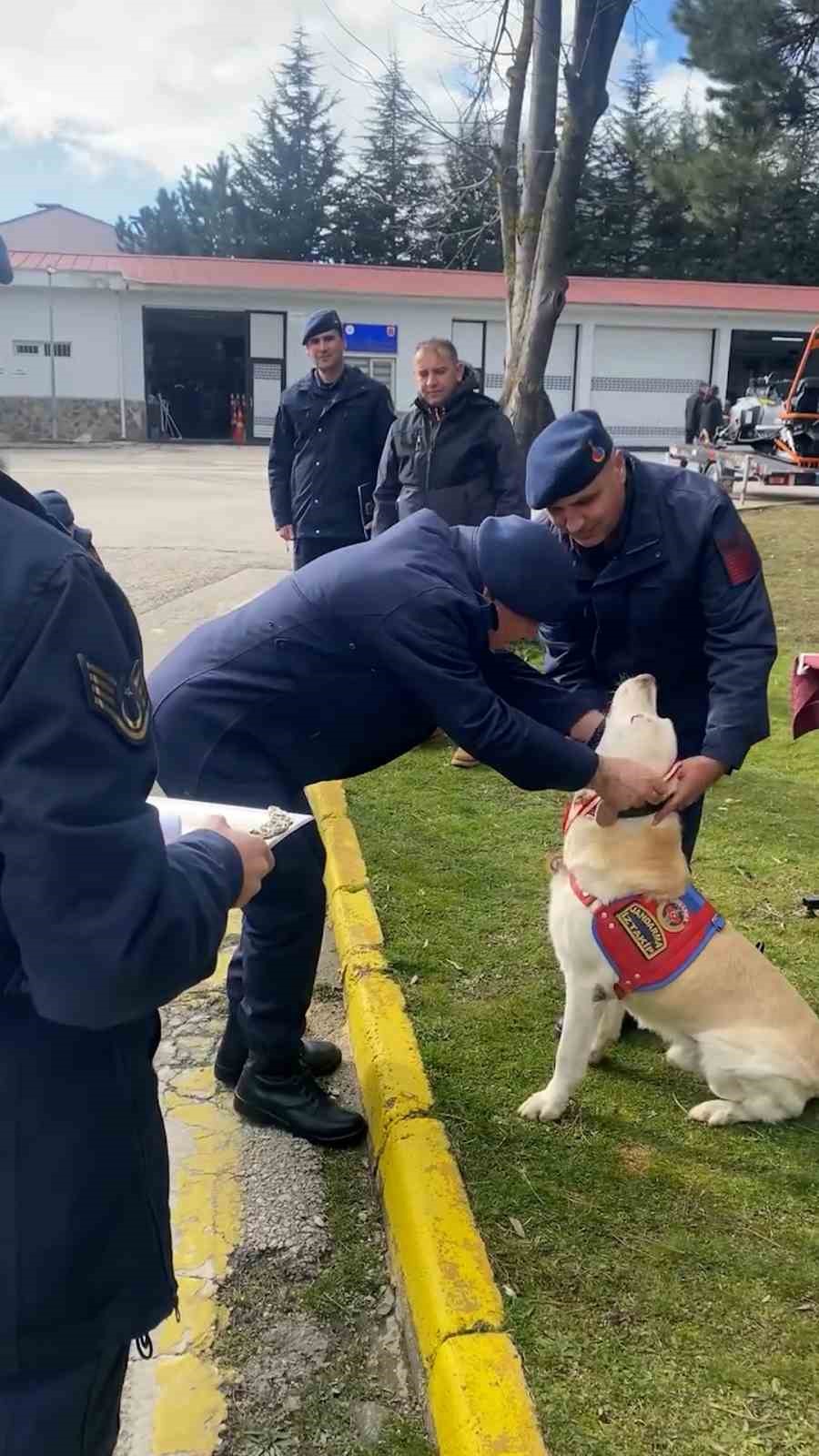Jandarmanın hassas burnu "Medyum" 10 yıllık mesaisini tamamladı
