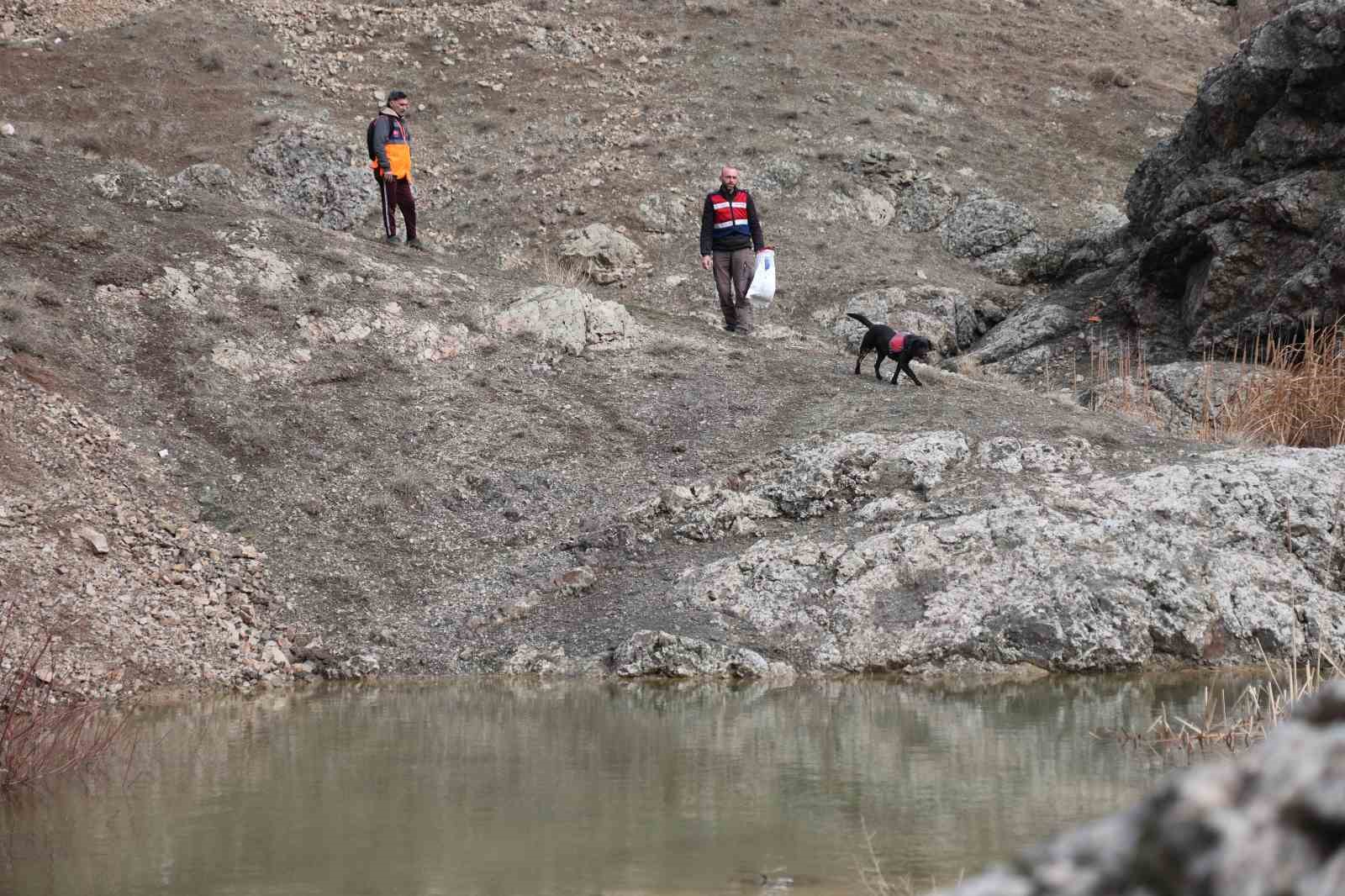 Jandarmanın iz takip köpeği "Salkım" kayıp şahıs için sahada
