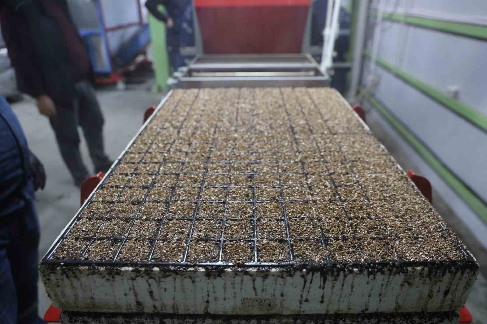 Jeotermal tesiste üretilen çiçekler, kentin renklenmesinde önemli rol alıyor
