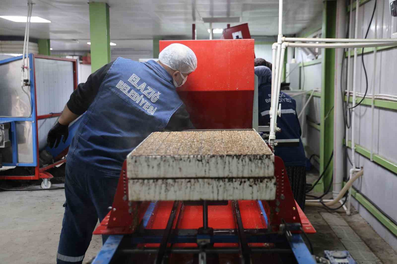 Jeotermal tesiste üretilen çiçekler, kentin renklenmesinde önemli rol alıyor
