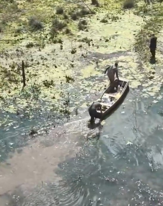 Kaçak avcılara dronlu takip
