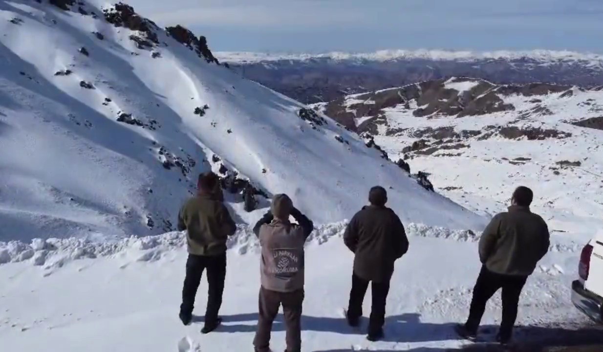Kaçak ve usulsüz avlanmaya geçit vermiyorlar
