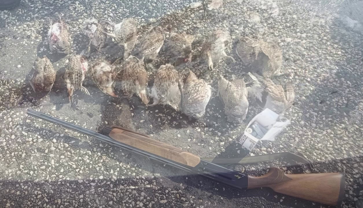 Kaçak ve usulsüz avlanmaya geçit vermiyorlar
