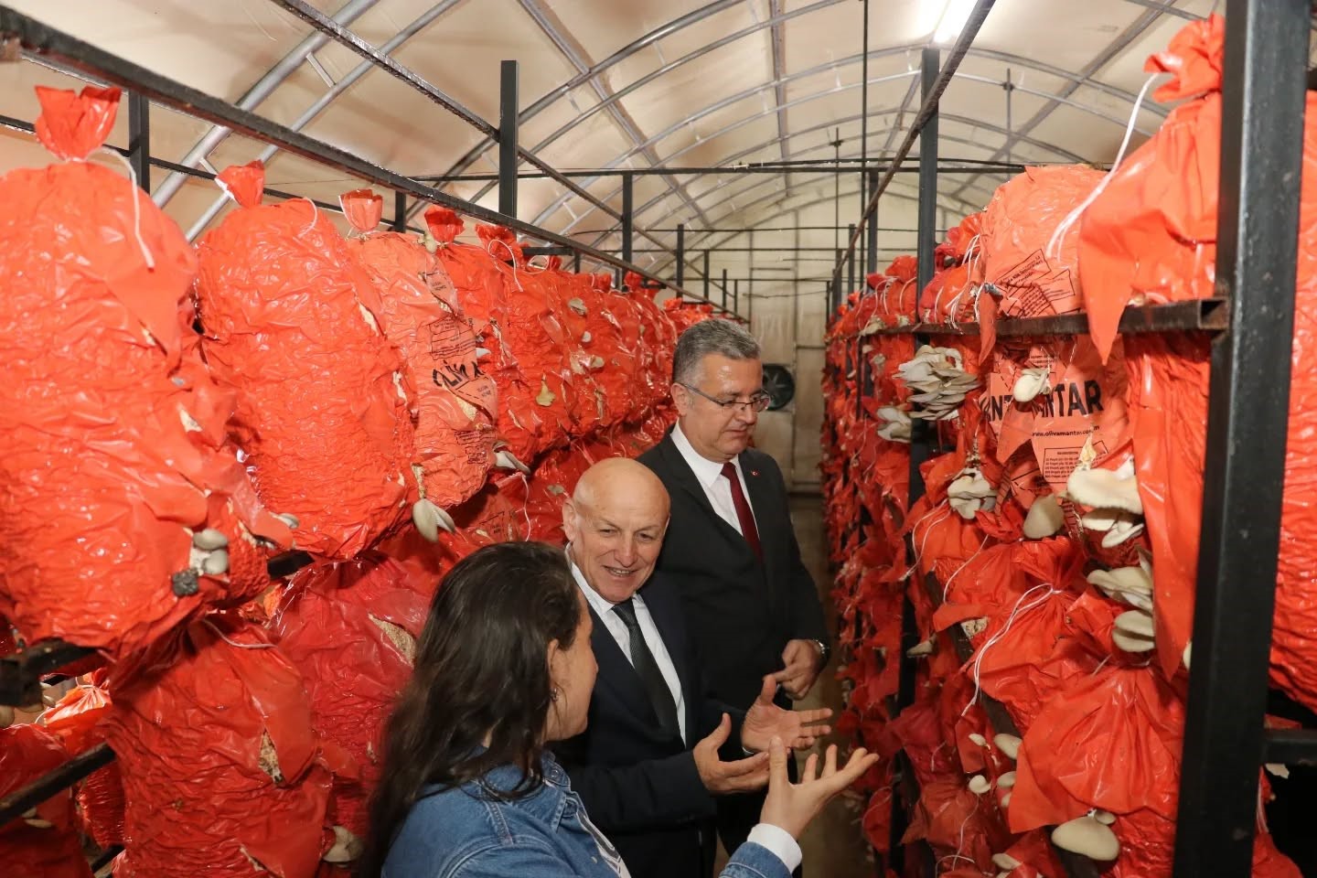 Kadın üreticiler, istiridye mantarından turşu ve köfte yaptı
