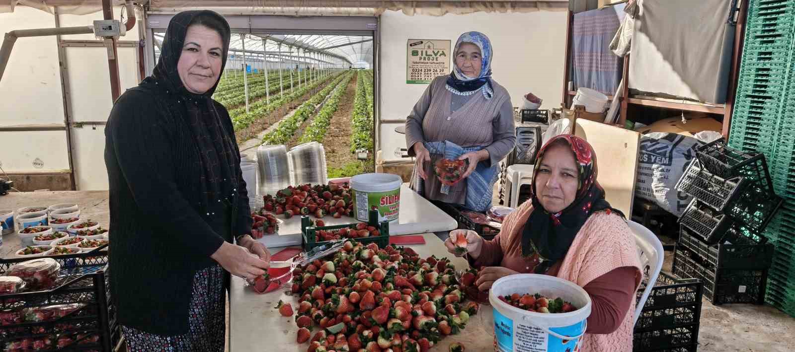 Kadınlar Gününü tarlada çalışarak kutladılar
