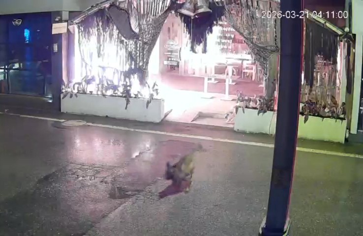 Kafeyi kundaklayıp kaçtı: O anlar kamerada
