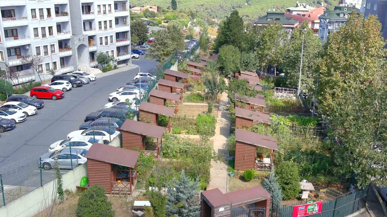 Kağıthane Belediyesi 2026 Hobi Bahçeleri için başvuruları başlattı
