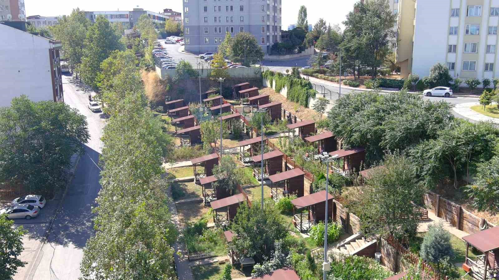 Kağıthane Belediyesi 2026 Hobi Bahçeleri için başvuruları başlattı
