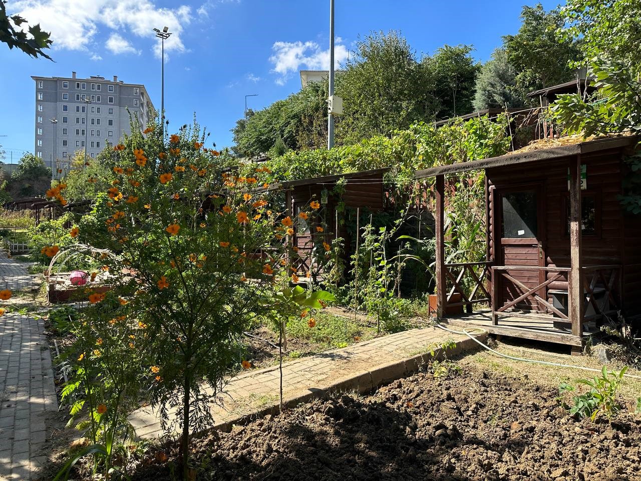 Kağıthane Belediyesi 2026 Hobi Bahçeleri için başvuruları başlattı
