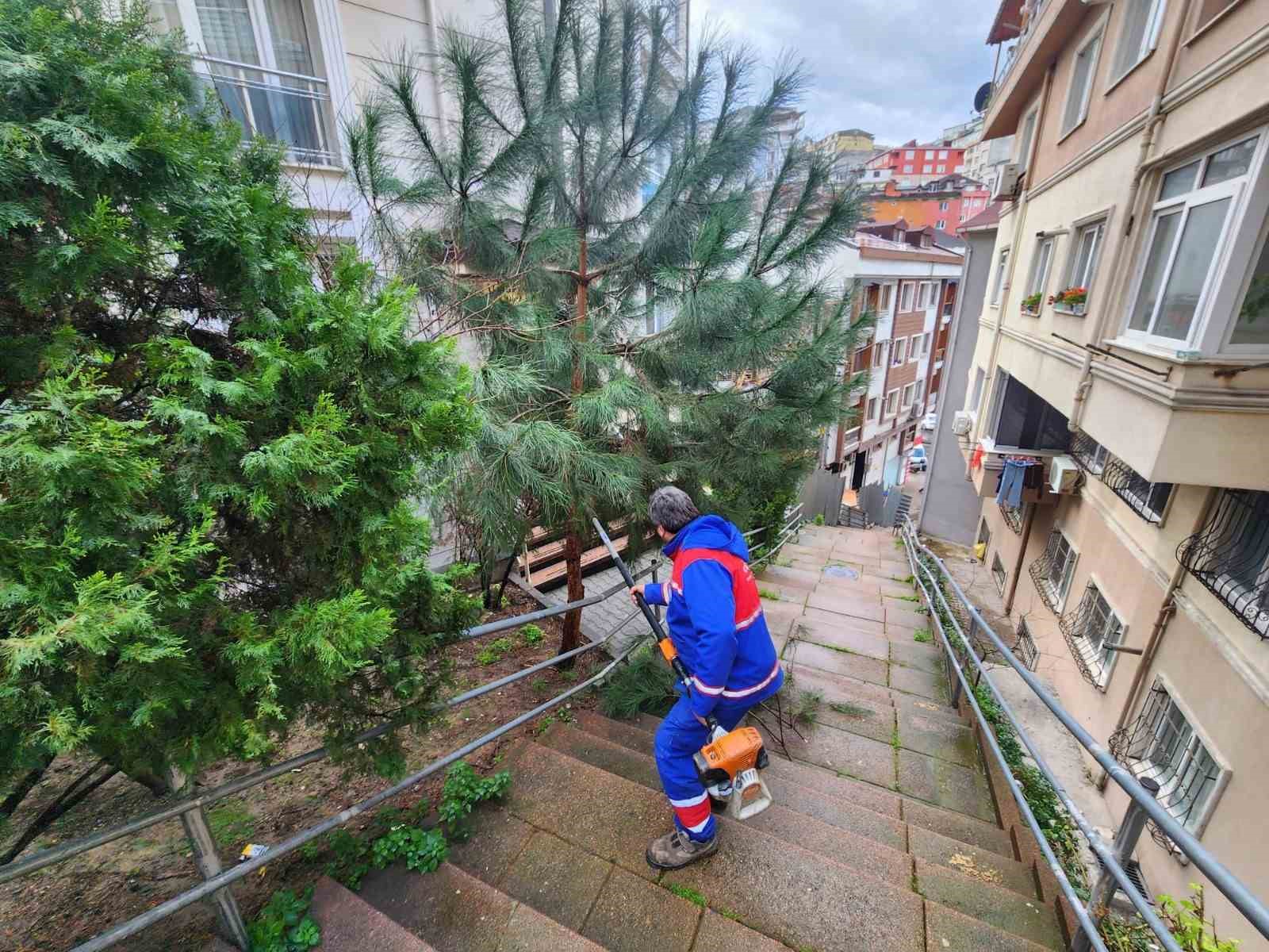 Kağıthane’de yeşil alanlarda bakım ve düzenleme çalışmaları sürüyor
