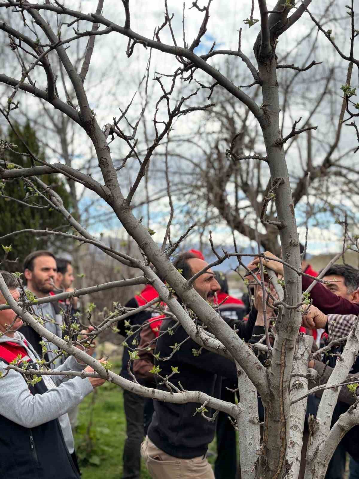 Kağızman’da meyvecilikte eğitim seferberliği sürüyor
Kağızman’da meyvecilikte eğitim seferberliği sürüyor