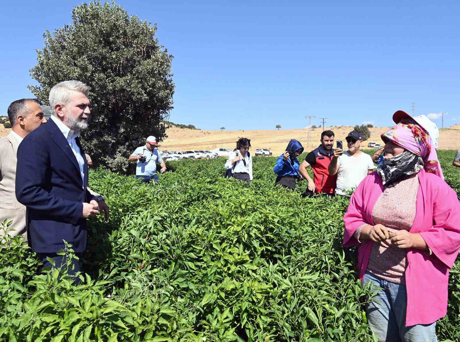 Kahramanmaraş Büyükşehir’den 2025’te çiftçiye 100 milyonluk destek
Kahramanmaraş Büyükşehir’den 2025’te çiftçiye 100 milyonluk destek