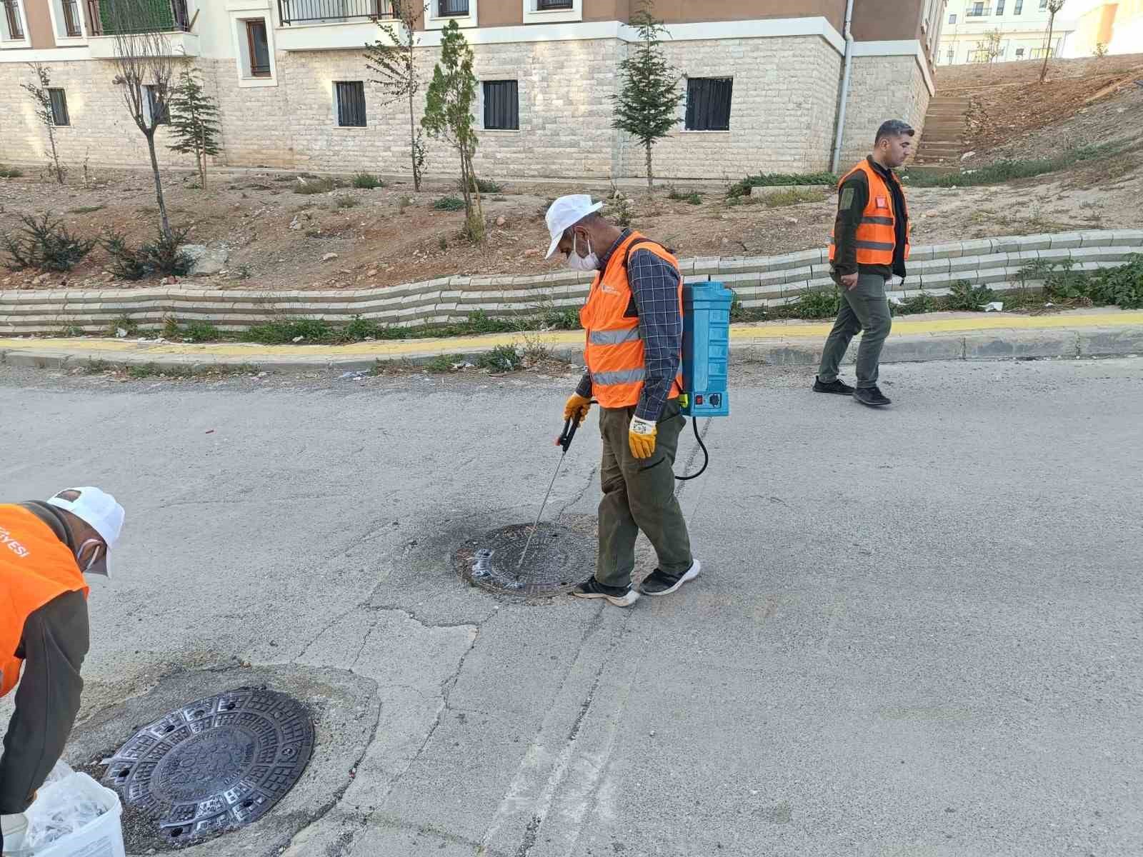 Kahta Belediyesi’nden haşerelere karşı yoğun mücadele
