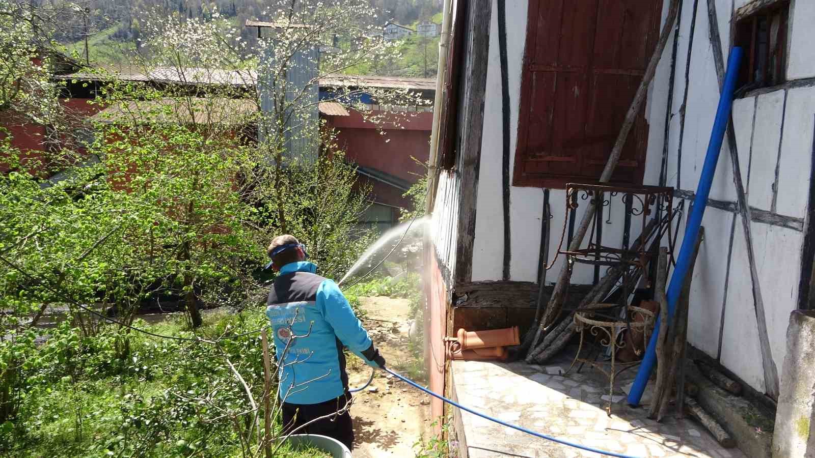 Kahverengi kokarcaya karşı kışlaklardan çıkış öncesi ilaçlama hız kazandı
