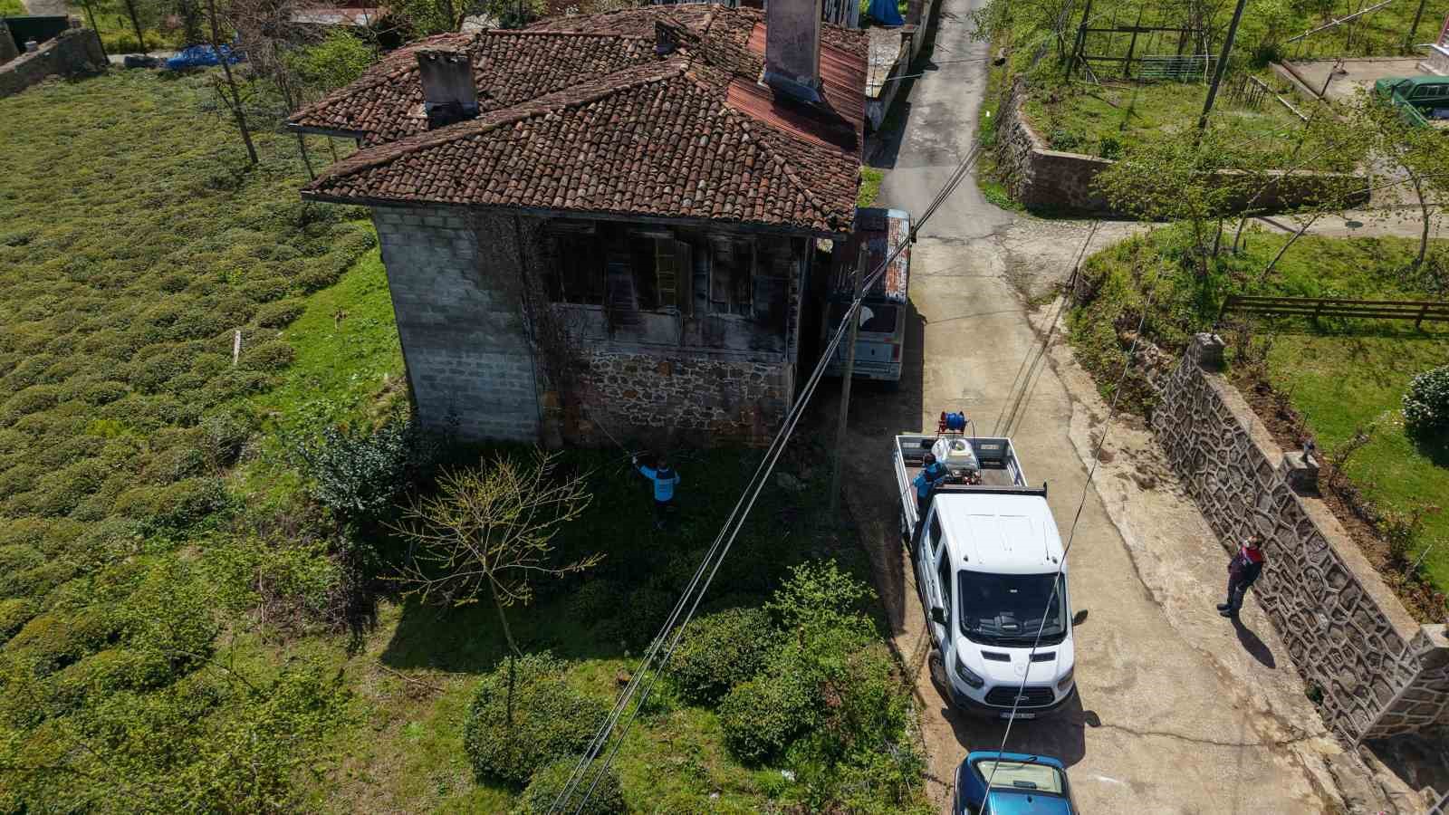 Kahverengi kokarcaya karşı kışlaklardan çıkış öncesi ilaçlama hız kazandı
