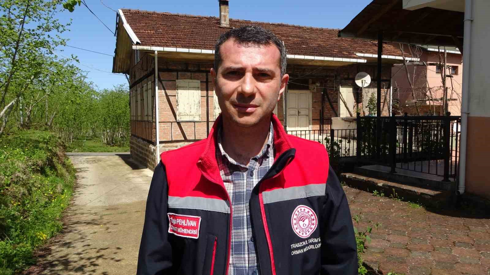 Kahverengi kokarcaya karşı kışlaklardan çıkış öncesi ilaçlama hız kazandı
