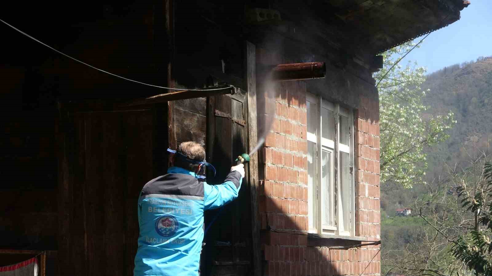 Kahverengi kokarcaya karşı kışlaklardan çıkış öncesi ilaçlama hız kazandı
