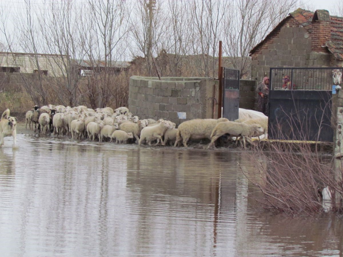 Kalcık Mahallesi, Venedik’e döndü
