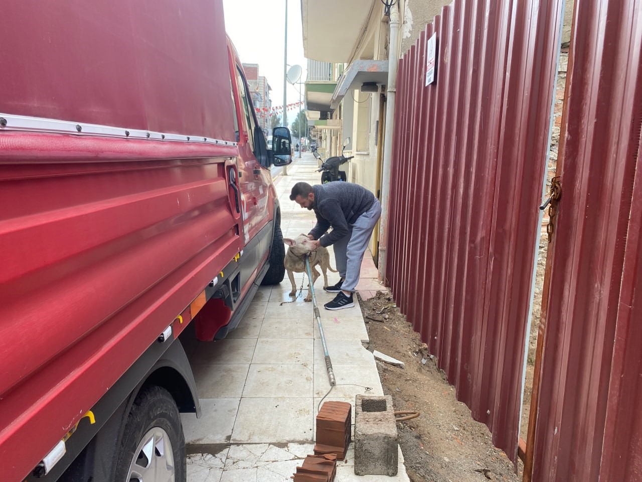 Kapalı inşaat çukuruna düşen köpeği itfaiye kurtardı
