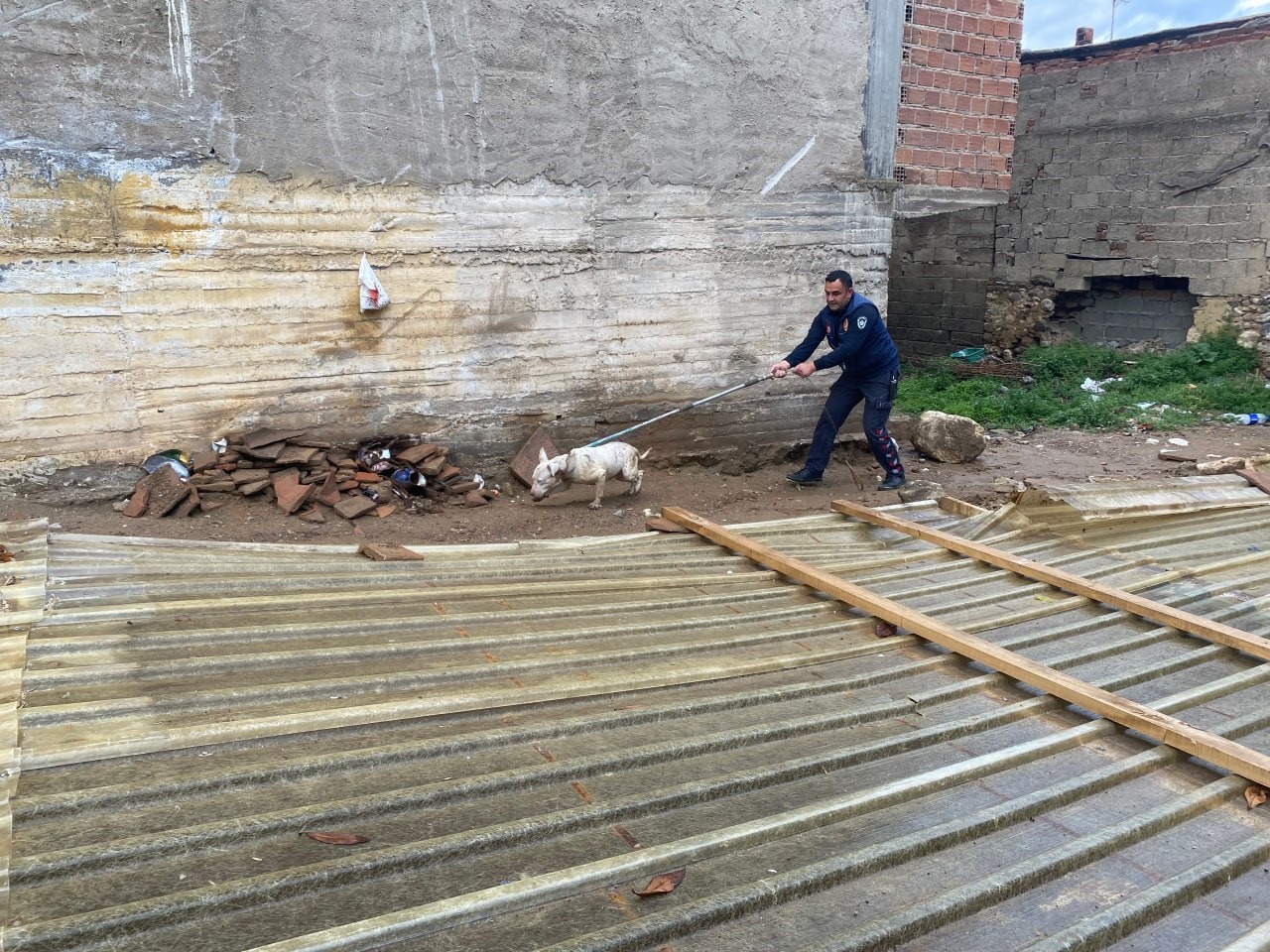 Kapalı inşaat çukuruna düşen köpeği itfaiye kurtardı
