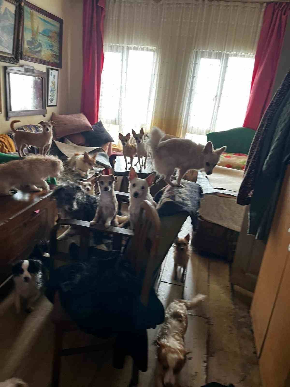 Kapı açılınca karşılaşılan manzara şoke etti
