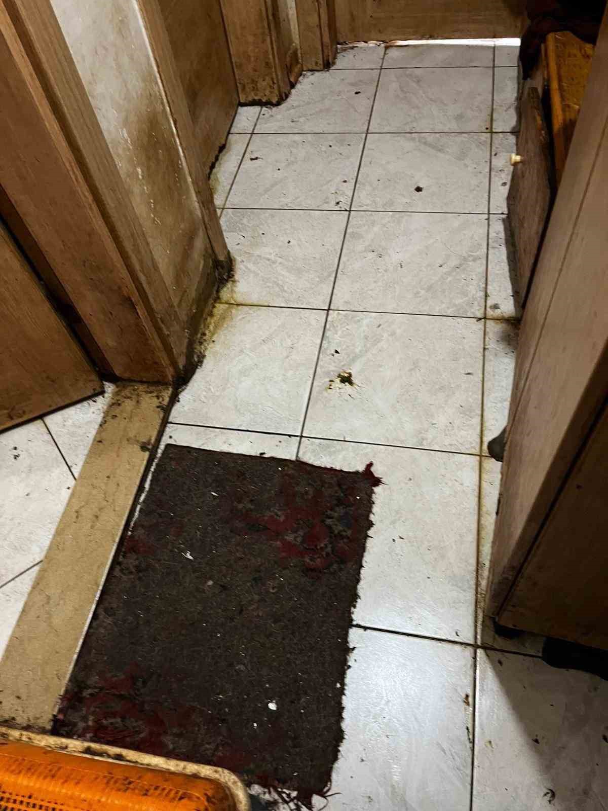 Kapı açılınca karşılaşılan manzara şoke etti
