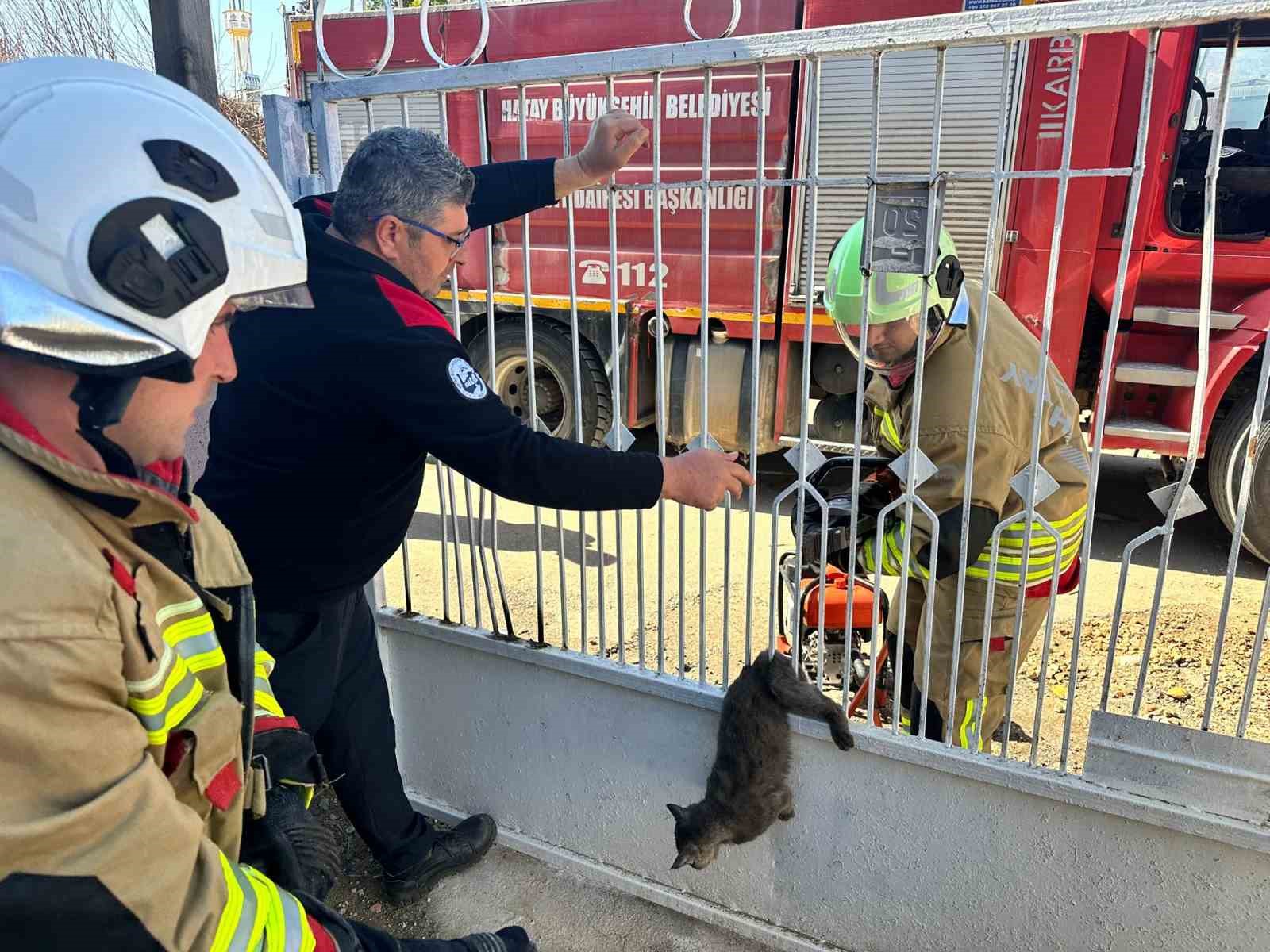 Kapı korkuluğuna sıkışan kediyi itfaiye kurtardı
