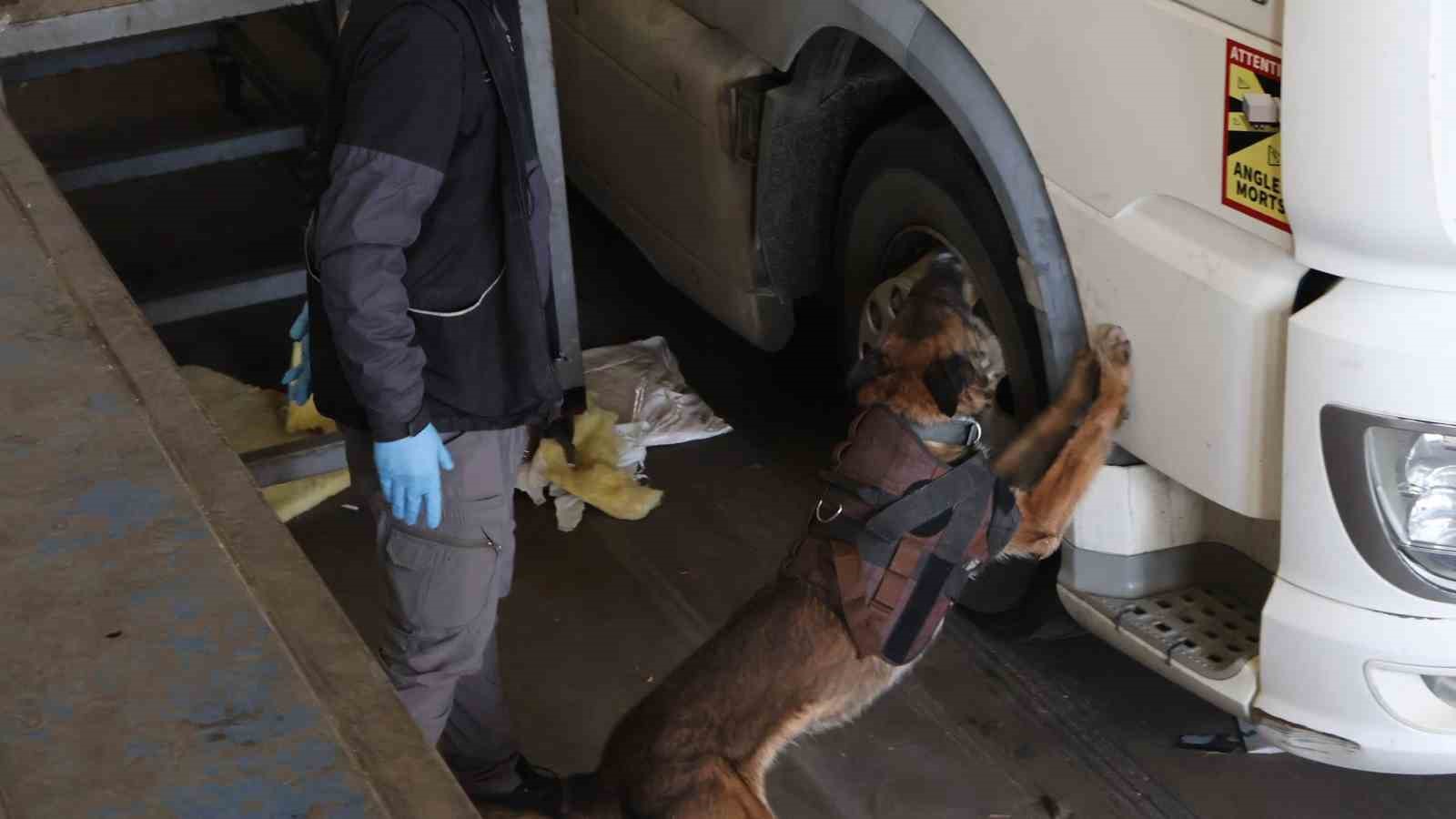 Kapıkule’de 144 kilo esrar ele geçirildi
