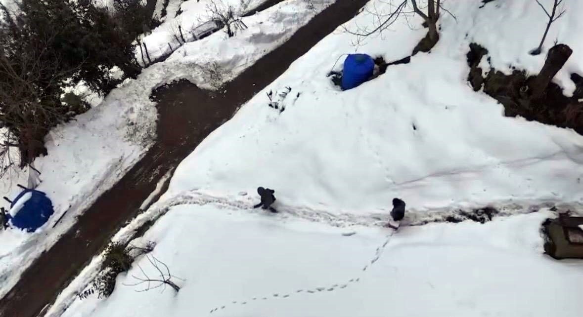 Kar altında şap seferberliği
