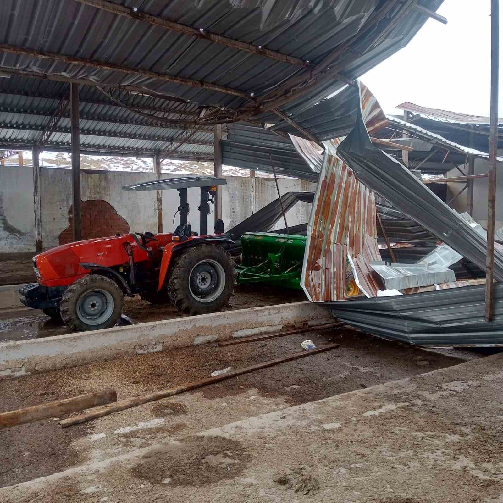 Kar birikintisi mandıra çatısını çökertti: 4 ton buğday zarar gördü
