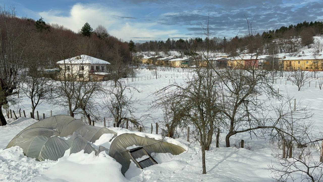 Kar birikintisine dayanamayan seralar çöktü
