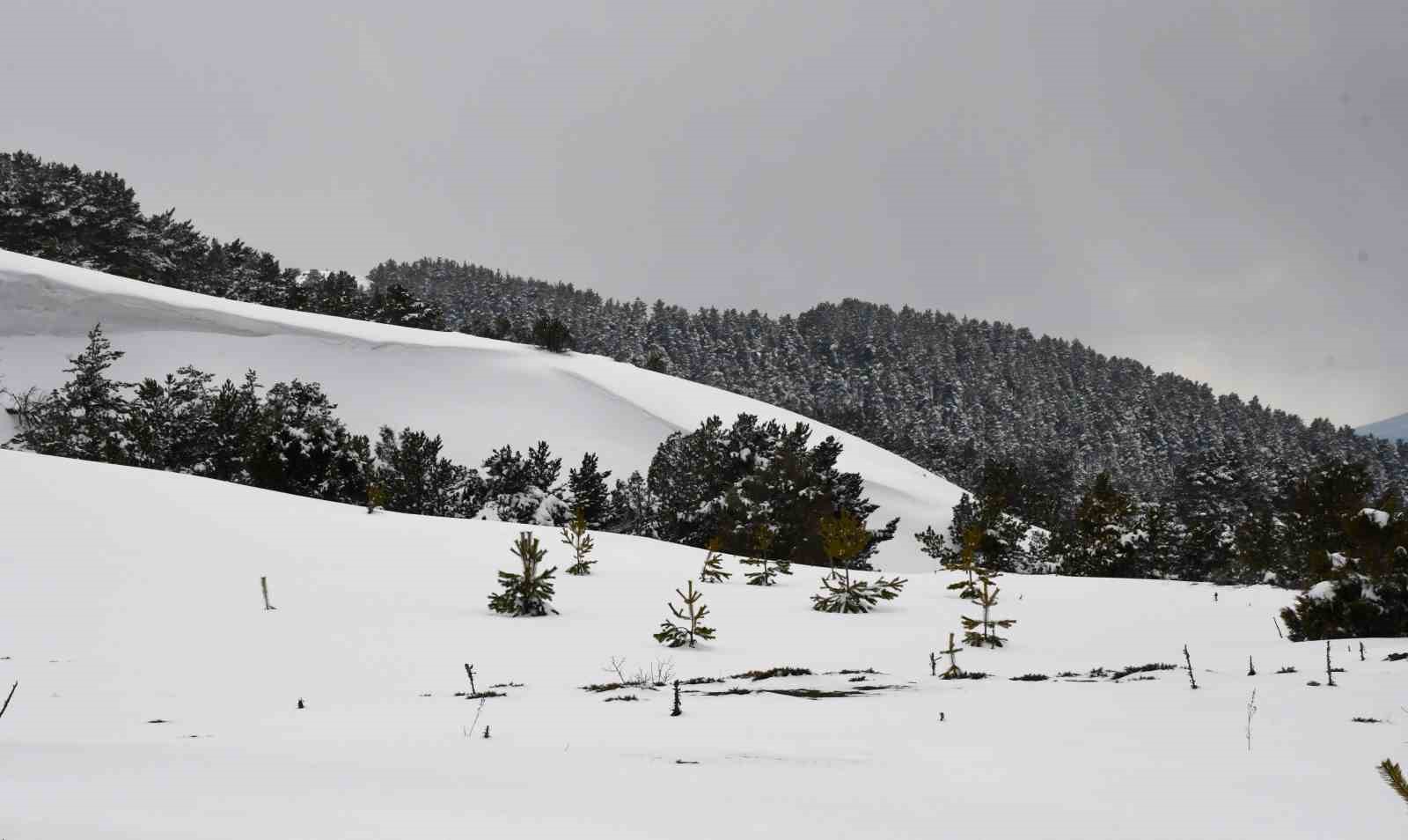 Kar manzarası için 2 bin 77 metreye çıkıyorlar
