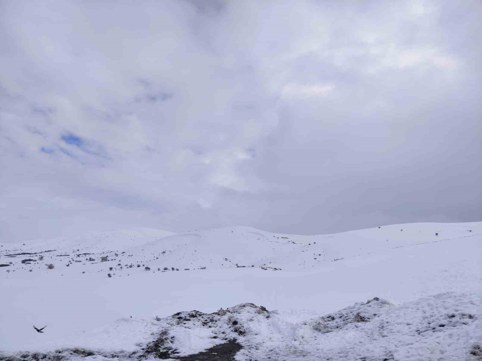 Kar yağışı Aşkale’de yeniden etkili oluyor
