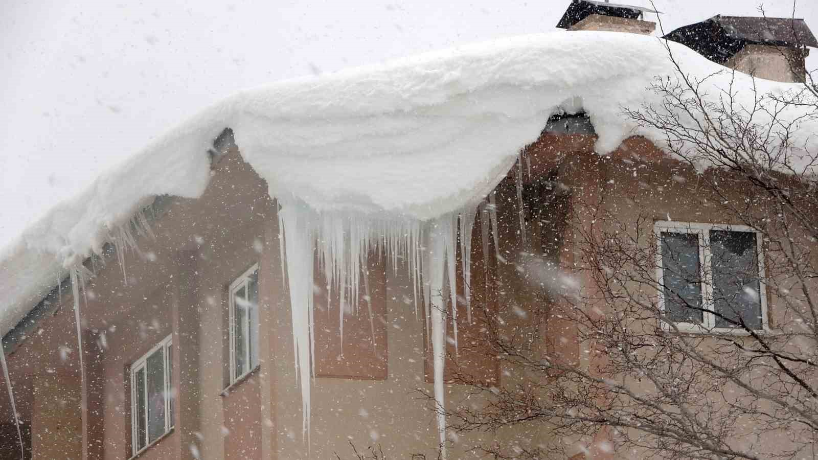 Kar yağışı Bitlis’te etkisini artırdı: 100 köy yolu ulaşıma kapandı
