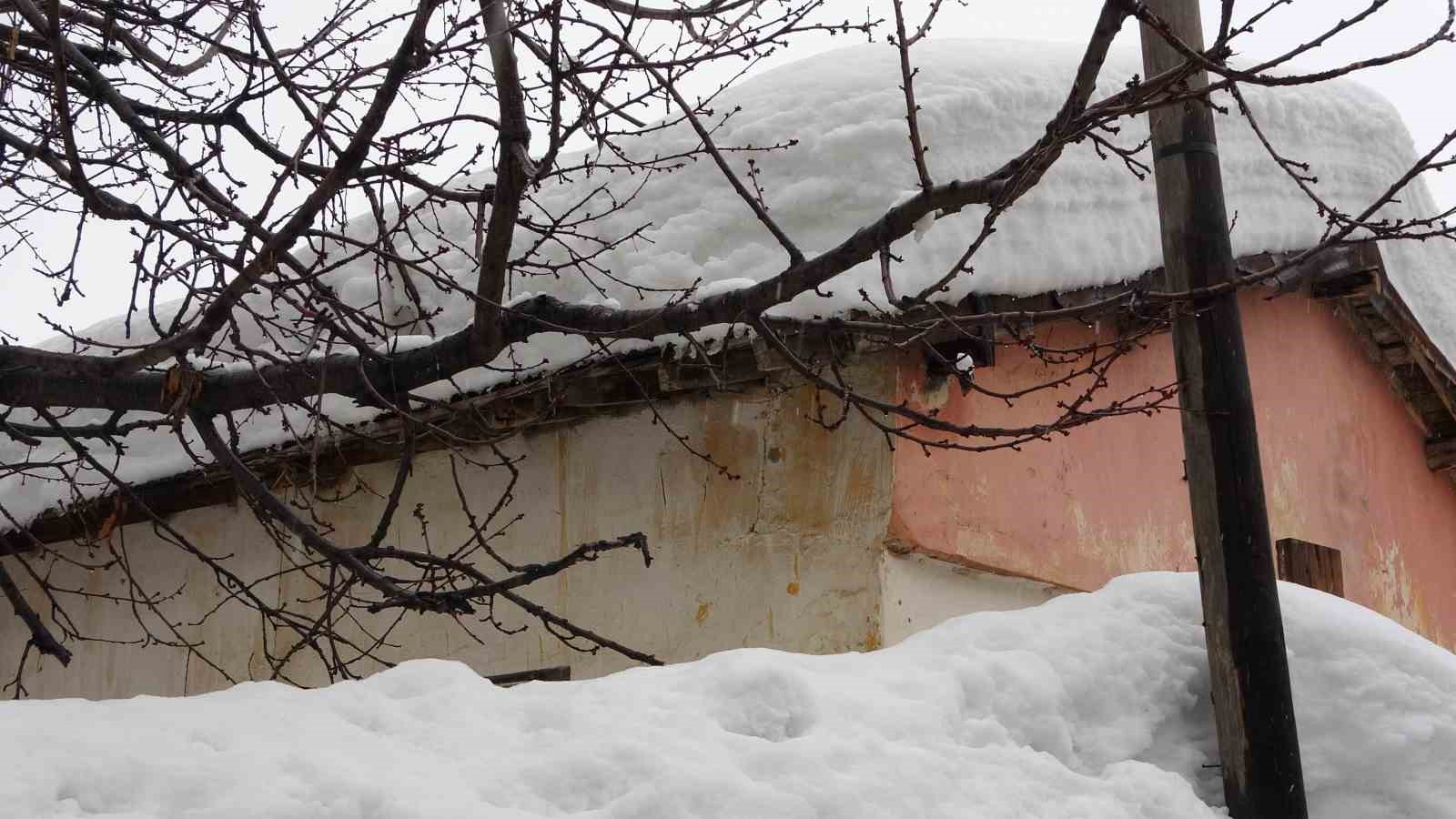Kar yağışı Bitlis’te etkisini artırdı: 100 köy yolu ulaşıma kapandı

