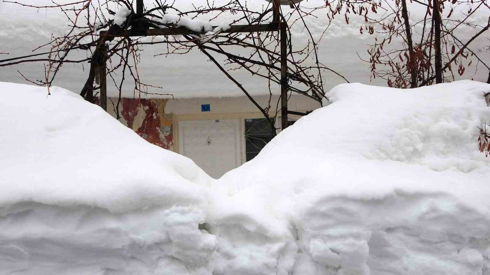 Kar yağışı Bitlis’te etkisini artırdı: 100 köy yolu ulaşıma kapandı
