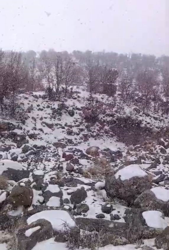 Kar yağışı Karacadağ’daki yaban hayatını zorladı
