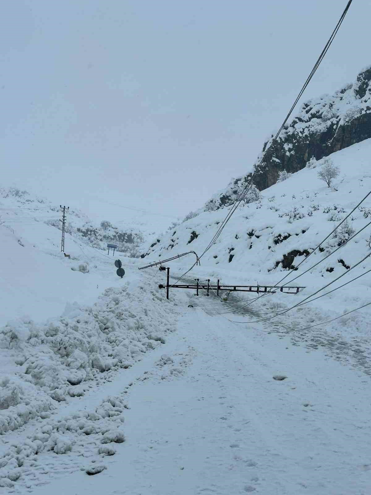Kar yağışı nedeniyle devrilen 300 elektrik direği yenilendi
