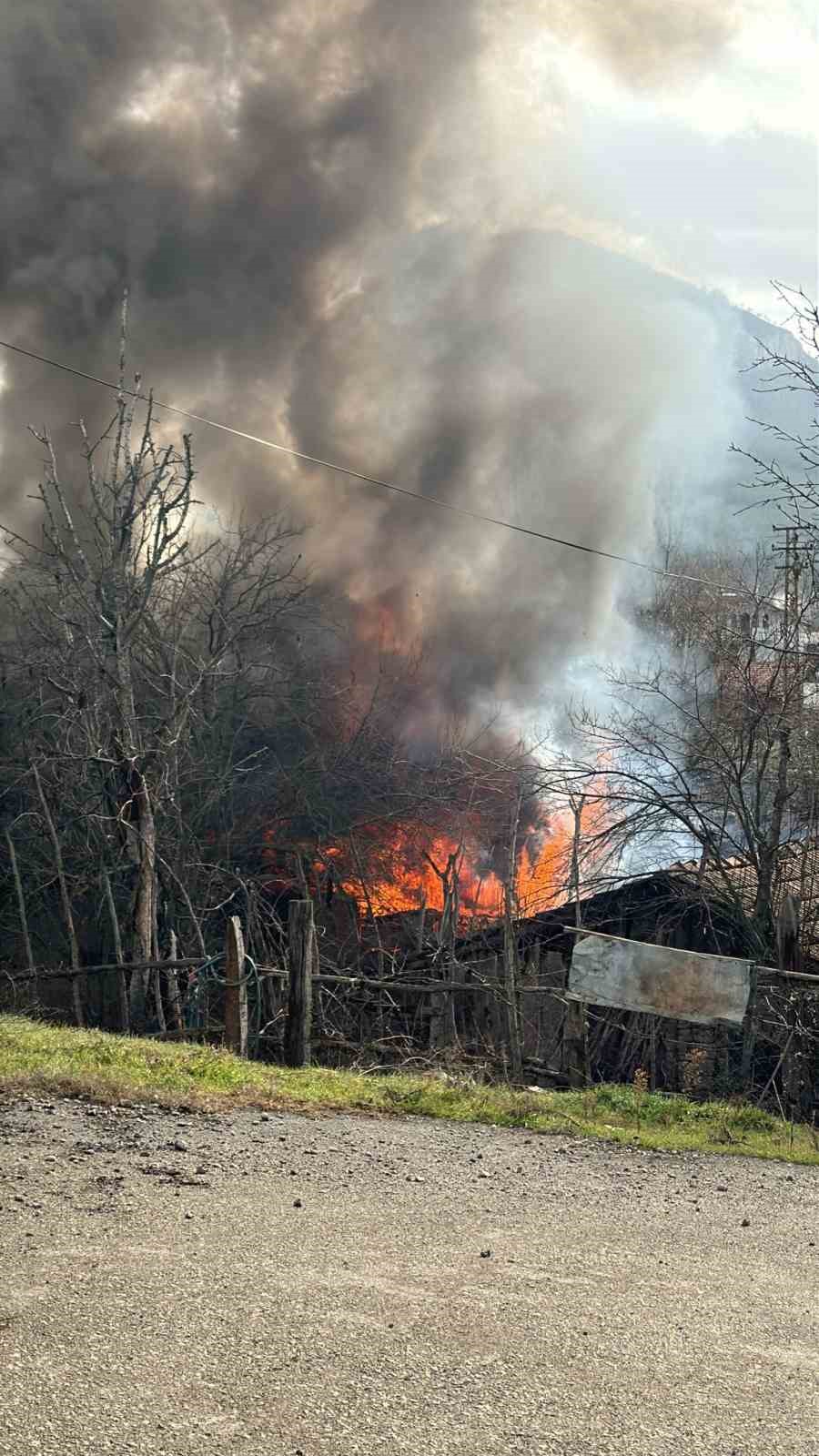 Karabük’te müştemilat yangını: 2 köpek yavrusu telef oldu

