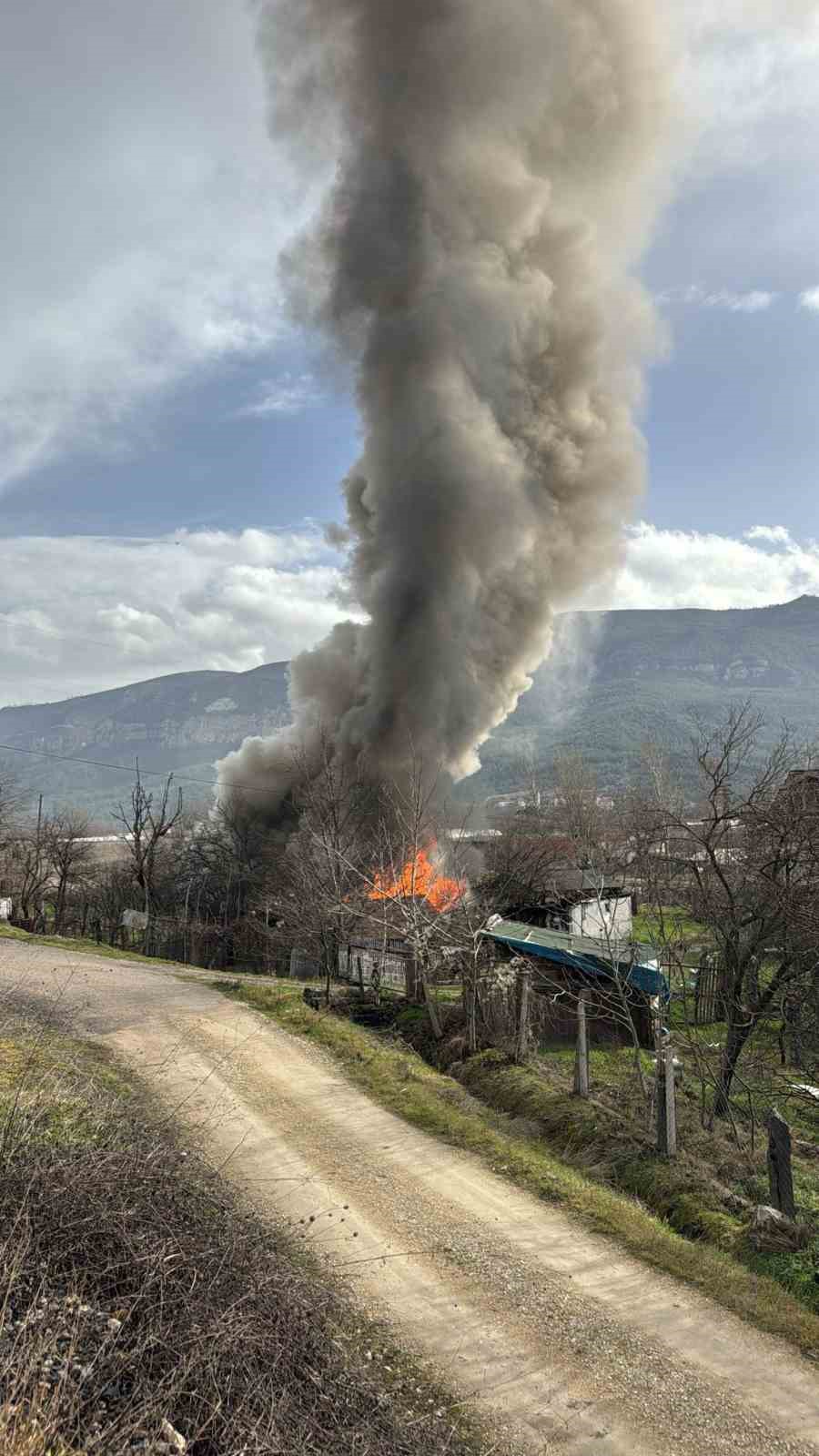 Karabük’te müştemilat yangını: 2 köpek yavrusu telef oldu
