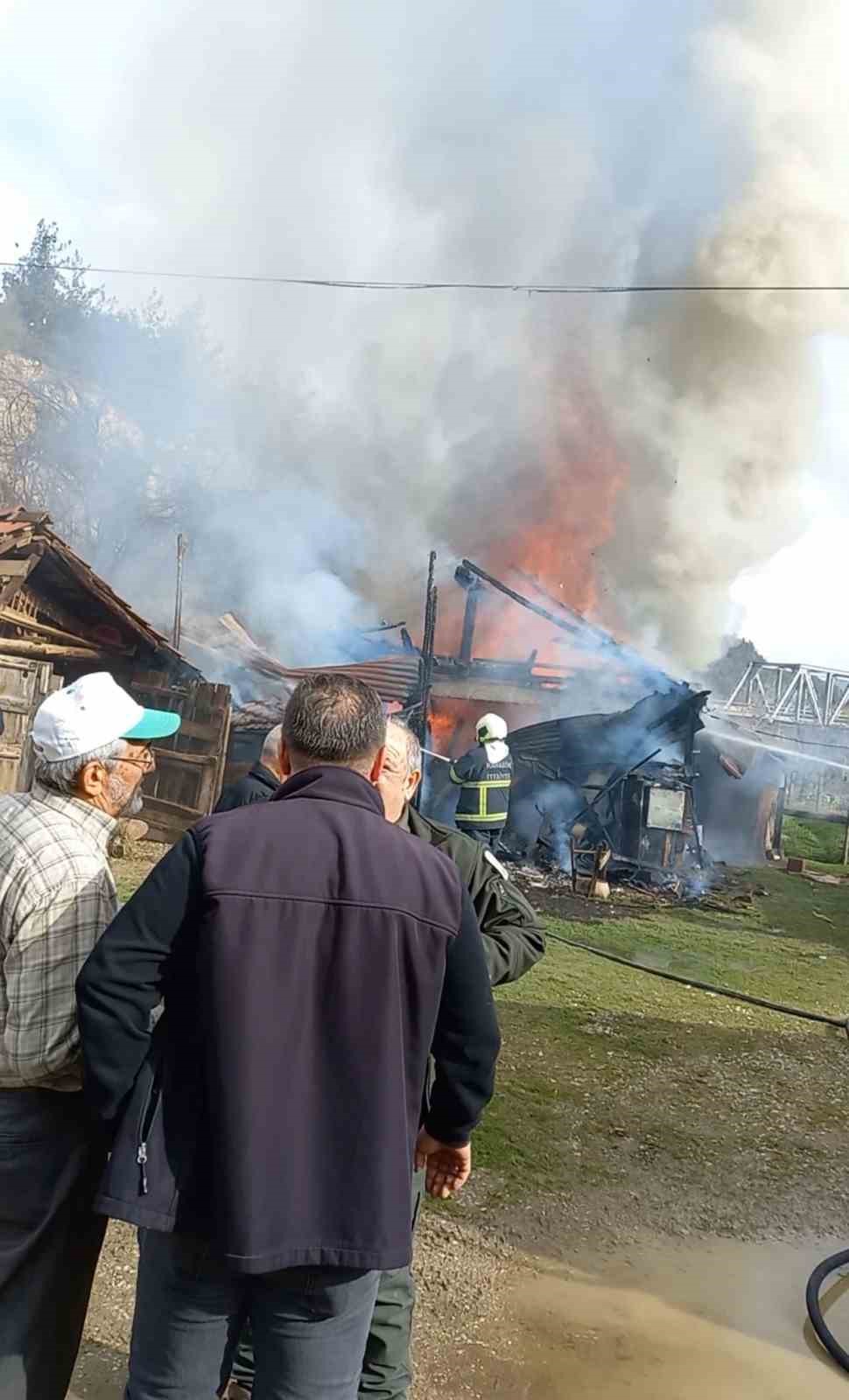 Karabük’te müştemilat yangını: 2 köpek yavrusu telef oldu
