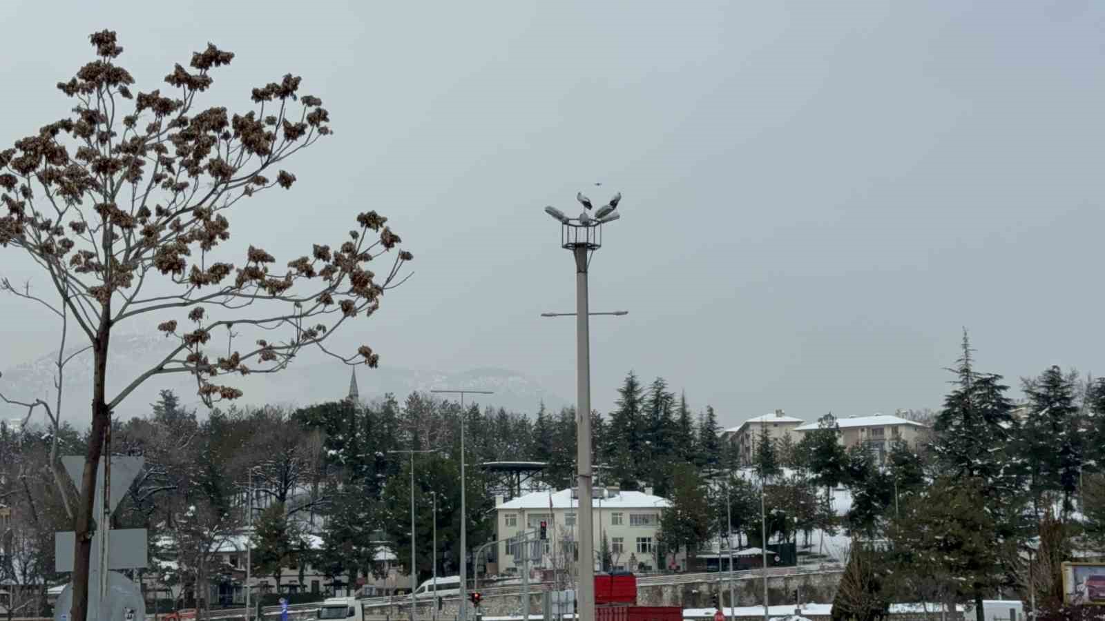Karabük’ün simgesi haline gelen leylek dronla görüntülendi
