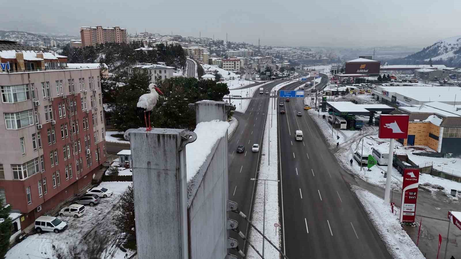 Karabük’ün simgesi haline gelen leylek dronla görüntülendi
