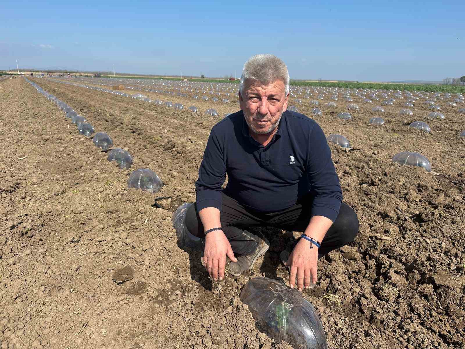 Karacabey Ovası’nda turfanda karpuz ekimi başladı
