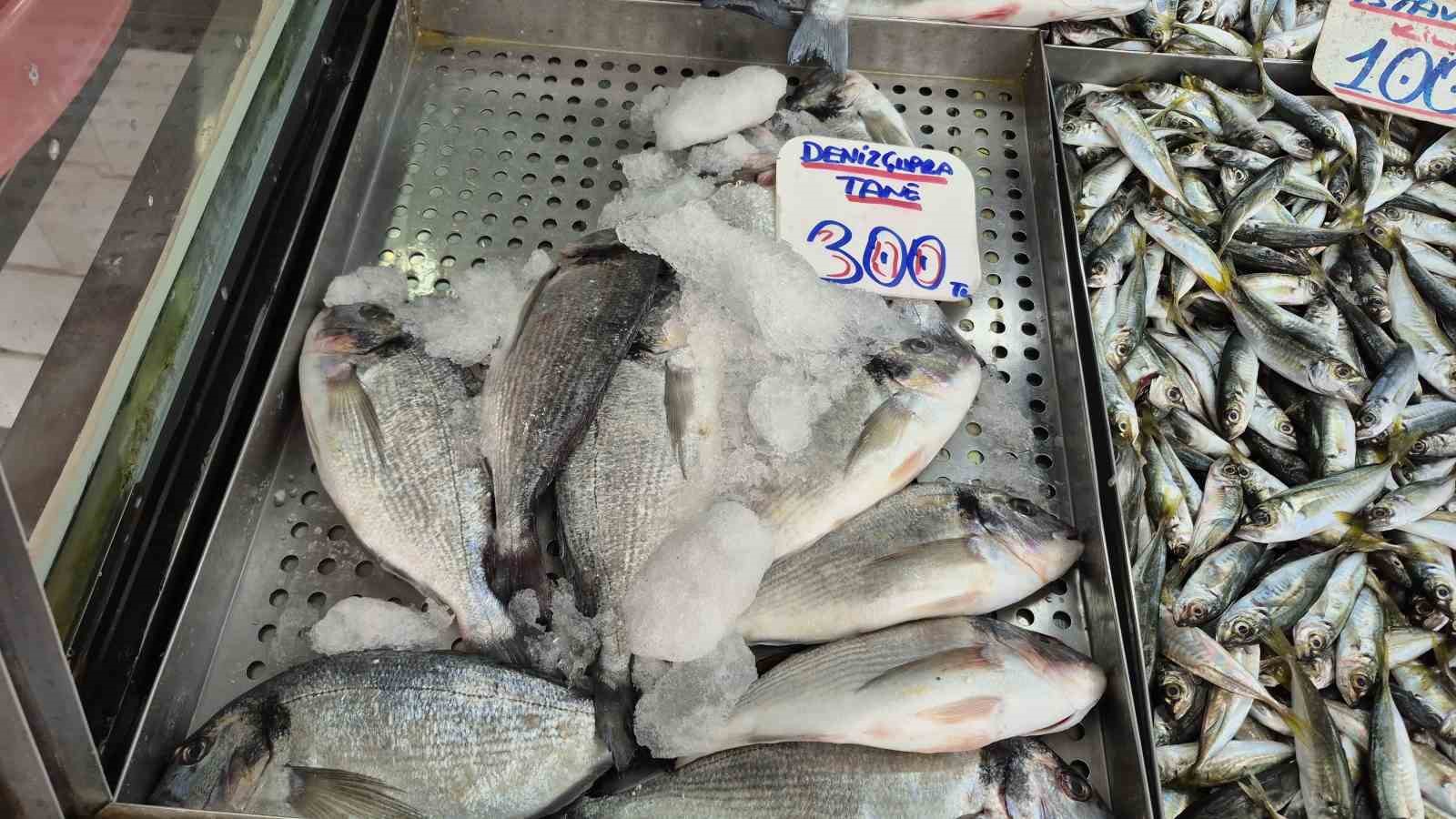 Karadeniz’de hamsi yerini istavrite bıraktı
