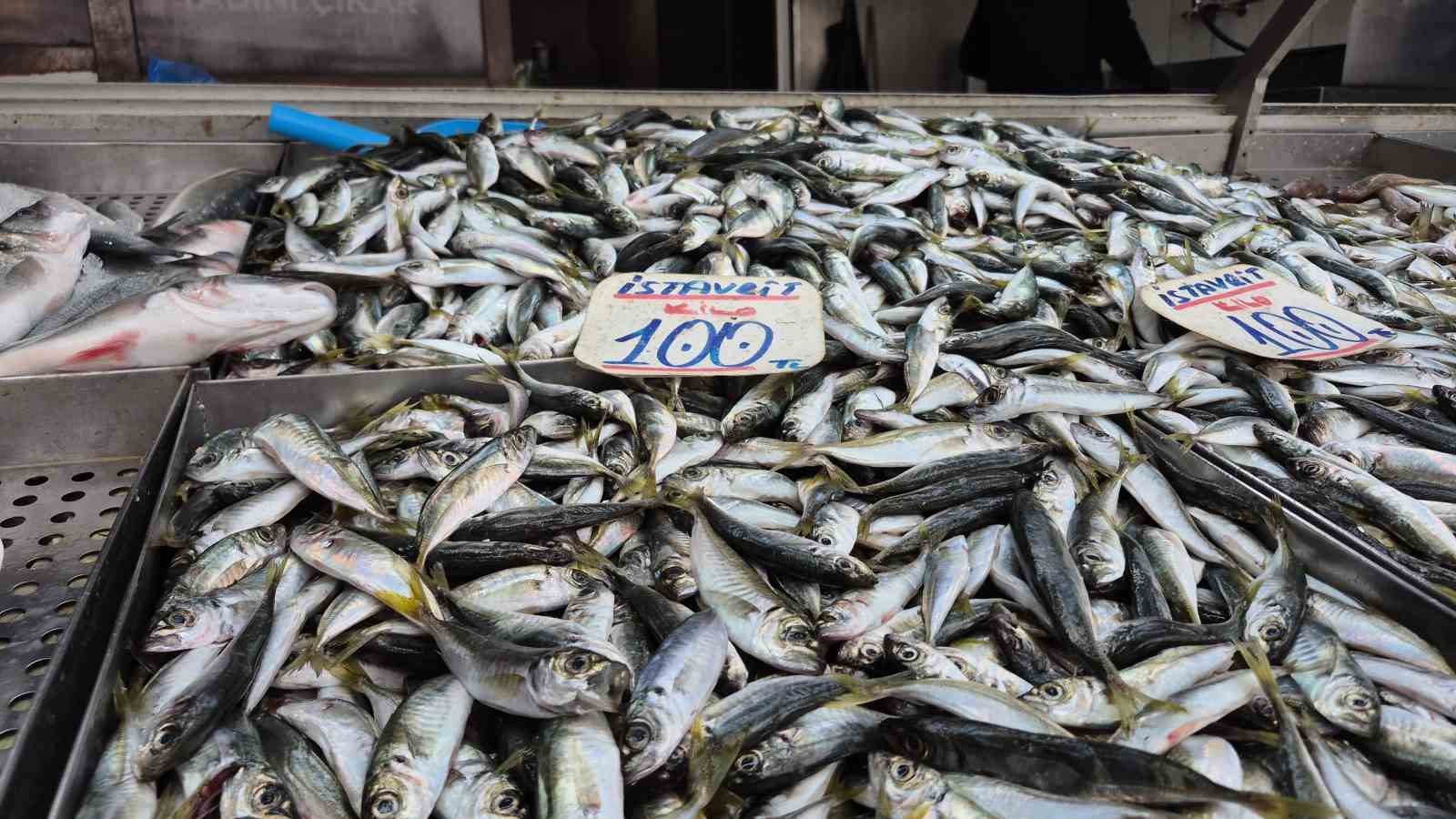 Karadeniz’de hamsi yerini istavrite bıraktı
