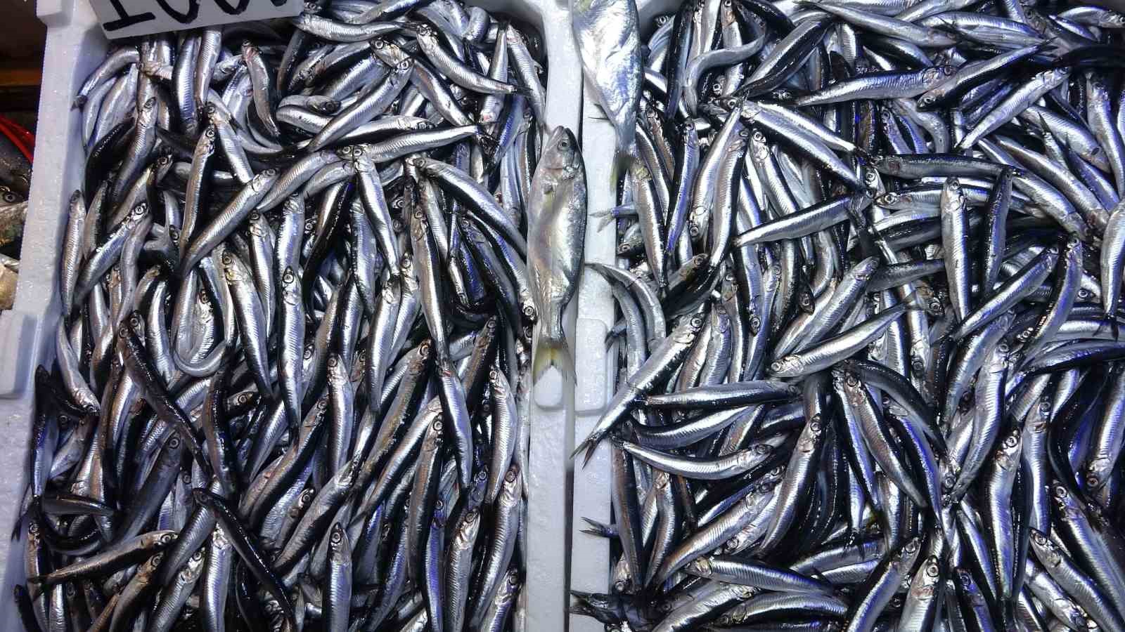 Karadeniz’de sezon sonu bereketi
Karadeniz’de sezon sonu bereketi