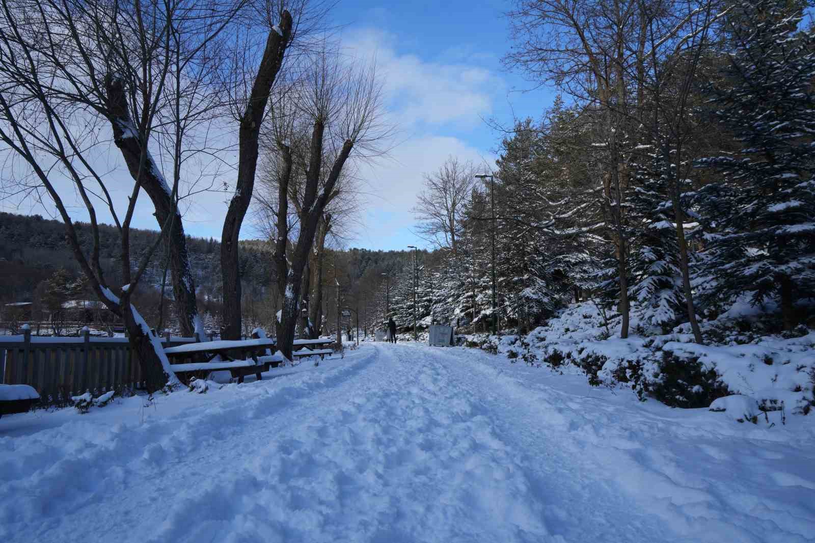 Karagöl Tabiat Parkı beyaza büründü, gölün yüzeyi buz tuttu
